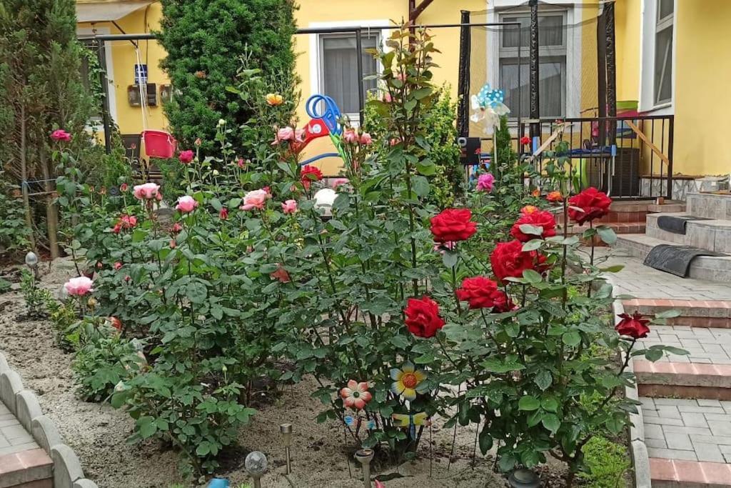 Color Home Hermannstadt 1 Exterior foto