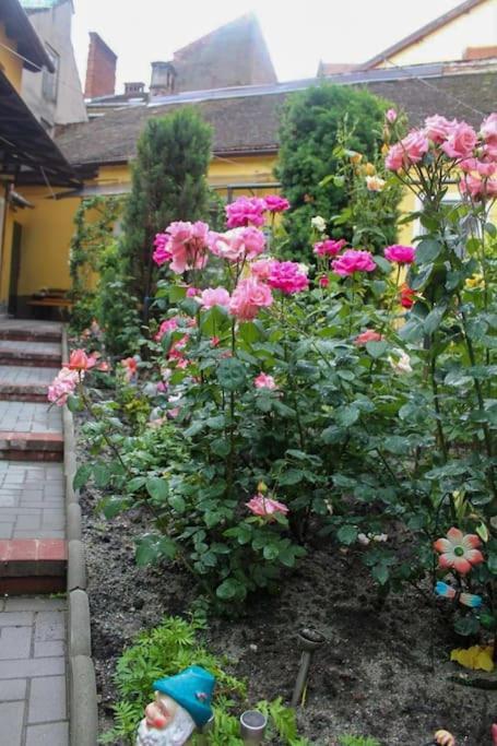 Color Home Hermannstadt 1 Exterior foto